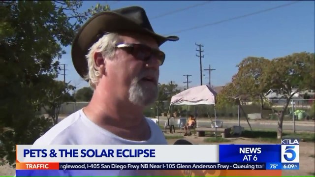 Pet Owners Should Keep Animals Inside During Solar Eclipse, Experts Say