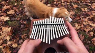 All The Small Things by blink 182 on a Kalimba