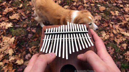 All The Small Things by blink 182 on a Kalimba
