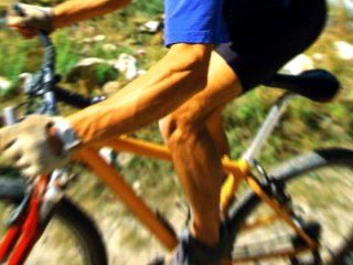 Cellular Respiration