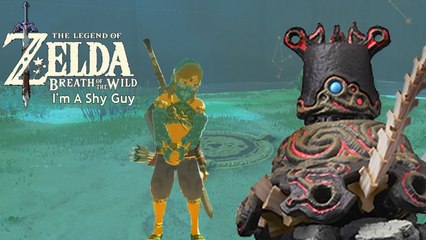 Zelda Breath Of The Wild: I'm A Shy Guy