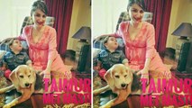 Taimur Ali Khan Has Fun With Pregnant Soha Ali Khan