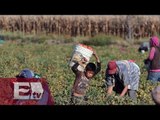 Niños jornaleros fueron rescatados en Coahuila / Vianey Esquinca