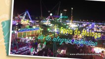 Malaga Feria de Agosto - Aprende español y disfruta de la Feria de Málaga 3