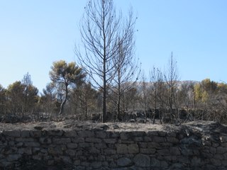 Incendie de Puyloubier - Le désastre en images le lendemain - 20aout2017