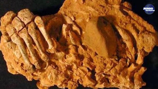 DESCOBERTAS ARQUEOLÓGICAS MAIS ASSUSTADORAS DO MUNDO!!