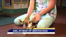 Community Takes Action for Virginia Girl in Need of Service Dog