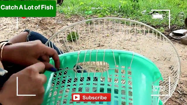 basket to catch A Lot of Fish - اغرب فخ لصيد الاسماك تقدر تشوفوا في حياتك