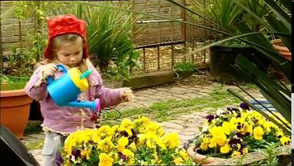 Boogie Beebies - Gardening