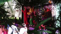 New Roller Coaster At Busch Gardens Tampa 2016 | Cobras Curse POV & More Roller Coaster F