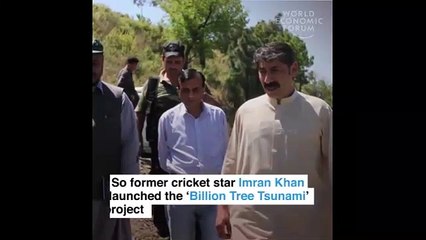 World Economic Forum Video on Billion Tree Tsunami Project on 20.08.2017