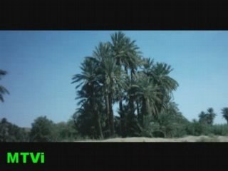 ::.nouvel album de jalel elhamdaoui MTVi.::