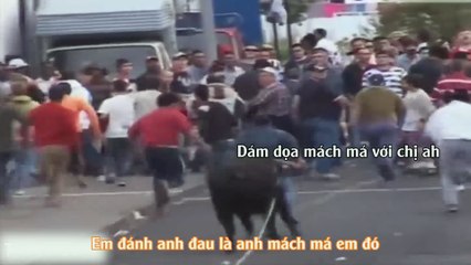Đại chiến bò tót phiên bản siêu "lầy"