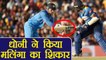 India vs Sri Lanka: MS Dhoni के तूफ़ानी Stumping ने Lasith Malinga को भेजा Pavilion । वनइंडिया हिंदी