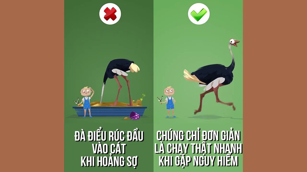 Sự thật xoay quanh những lời đồn đại về các loài động vật mà ít ai biết