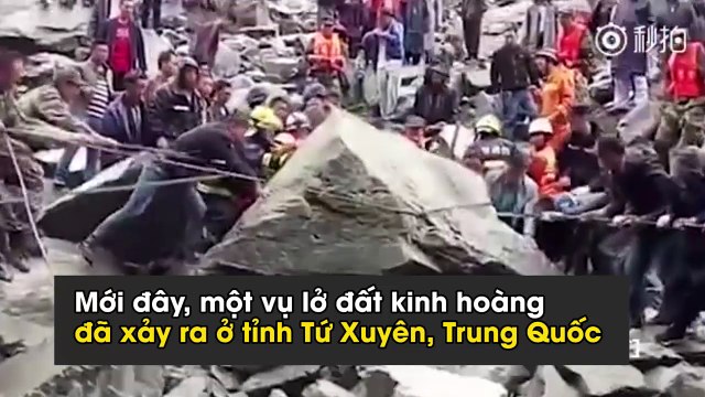 Sau lở đất kinh hoàng, chú chó không rời hiện trường mà vẫn đợi chủ