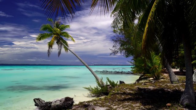 JOURNEY to TAHITI (4K UHD Nature Sounds Only) Whales & Beaches - Ambient Film for Relaxation [720p]