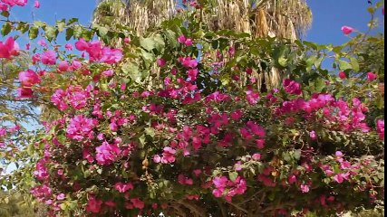 Những địa danh khiến bất cứ ai chỉ xem một lần cũng muốn checkin