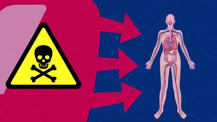 Cơ thể bạn sẽ thay đổi ra sao sau khi bạn sơn móng tay?