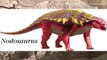 Mẫu hóa thạch hoàn hảo của một con khủng long 4 chân Nodosaurus