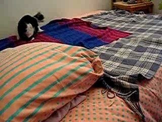 T'aurais pas du m'inviter chez toi