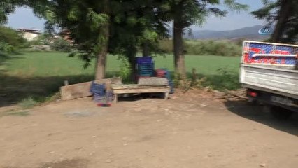 Alo Salça" Hattını Kurdu, Kadınları Çileden Kurtardı