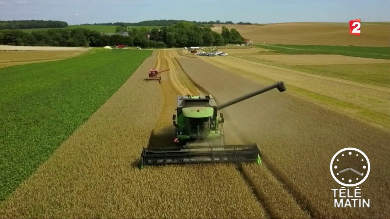 Conso - La fête des moissons