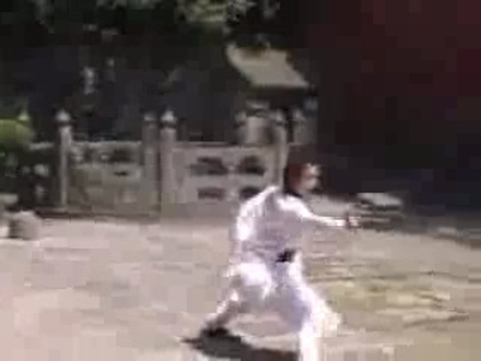 Bajiquan