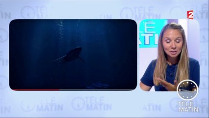 Une application pour observer les fonds marins