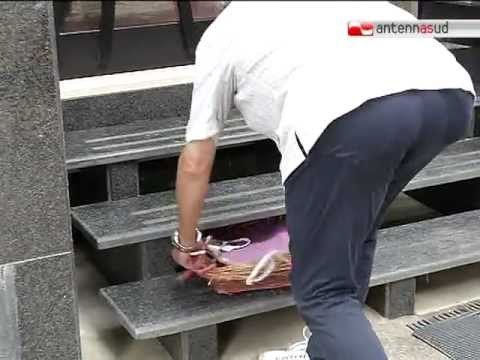 TG 25.07.12 Continua la strage di gatti nel cimitero di Bari