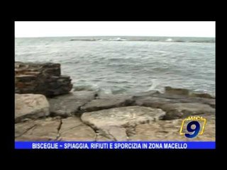 Bisceglie | Spiaggia, rifiuti e sporcizia in Zona Macello