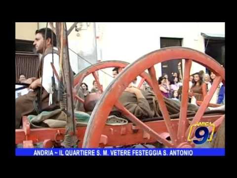 Andria | Il quartiere S. M. Vetere festeggia S. Antonio