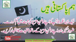 Hum Pakistani Hain | Best Milli Nagmah | By Hafiz Tahir Qadri