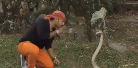 Ölüm öpücüğü