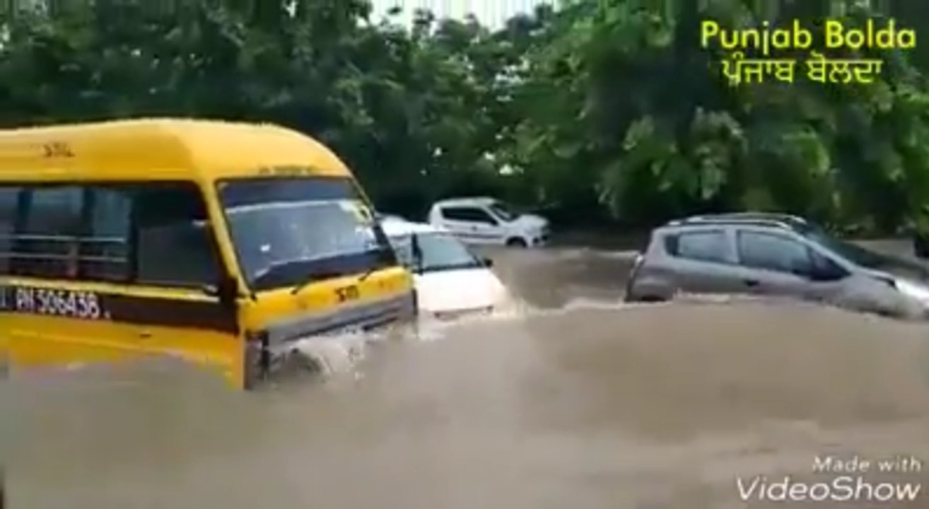 ਚੰਡੀਗੜ ਵਿਚ ਭਾਰੀ ਮੀਂਹ ਤੋ ਬਾਅਦ ਦਾ ਹਾਲ...
