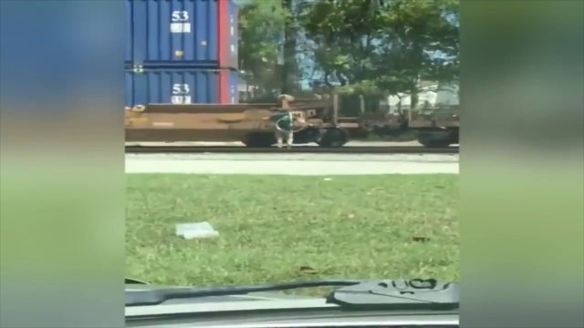 Ce livreur en vélo saute par-dessus un train au passage à niveau pour gagner du temps... le fou !!
