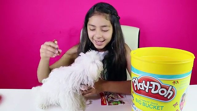 Сердитый птицы ведро доч гигант имен играть сюрприз Игрушки с mbbb shopkins b2cutecupcak