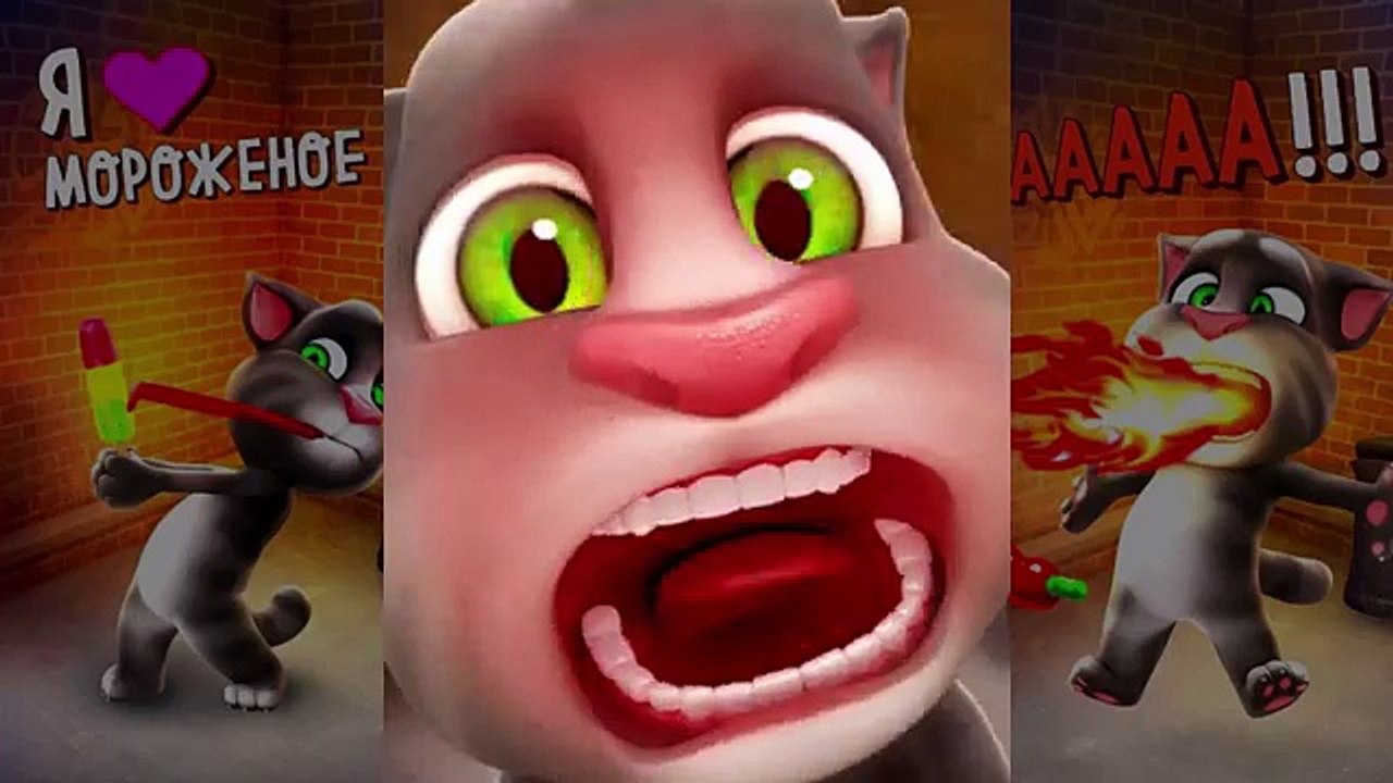 El gato está en la Rusia todas las series