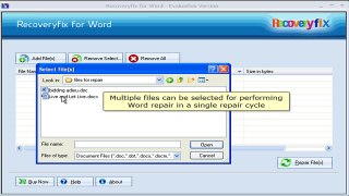 Recoveryfix for Word, perfect solution for word and doc repair