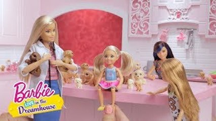 Plethora of Puppies | Barbie LIVE! In the Dreamhouse | Barbie