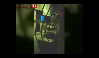 Köpeğe cinsel istismar iddiası