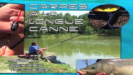 Pêche de A à Z - Carpes à la longue canne (Pêche au coup)