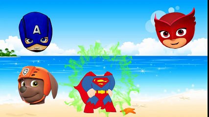 Wrong Head PJ Mask, Zuma Paw Patrol, Super Man, Captain American Finger Family Songs Learn Color Kid