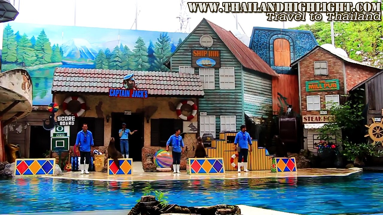Amazing Sea Lion Show Safari World Bangkok Thailand