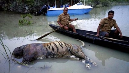 India hit hardest by deadly regional floods