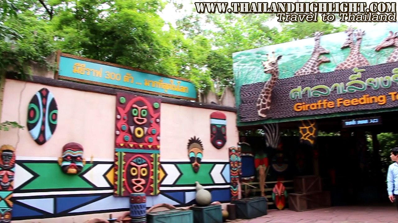 Giraffe Bangkok Feeding Giraffes at Safari World Bangkok Thailand