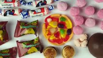 Bonbons défi aliments amusement amusement géant gommeux enfant réal examen goût tester contre Ryan toysreview