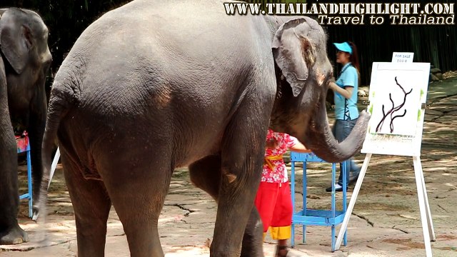Elephant Painting Flower Bangkok Thailand Elephant Show Bangkok
