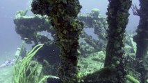 Scuba Diving Encounters: Wreck Diving The Rhone In The British Virgin Islands