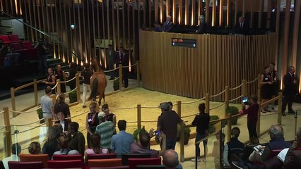 Deauville: "Très bonne édition" 2017 des ventes de yearlings